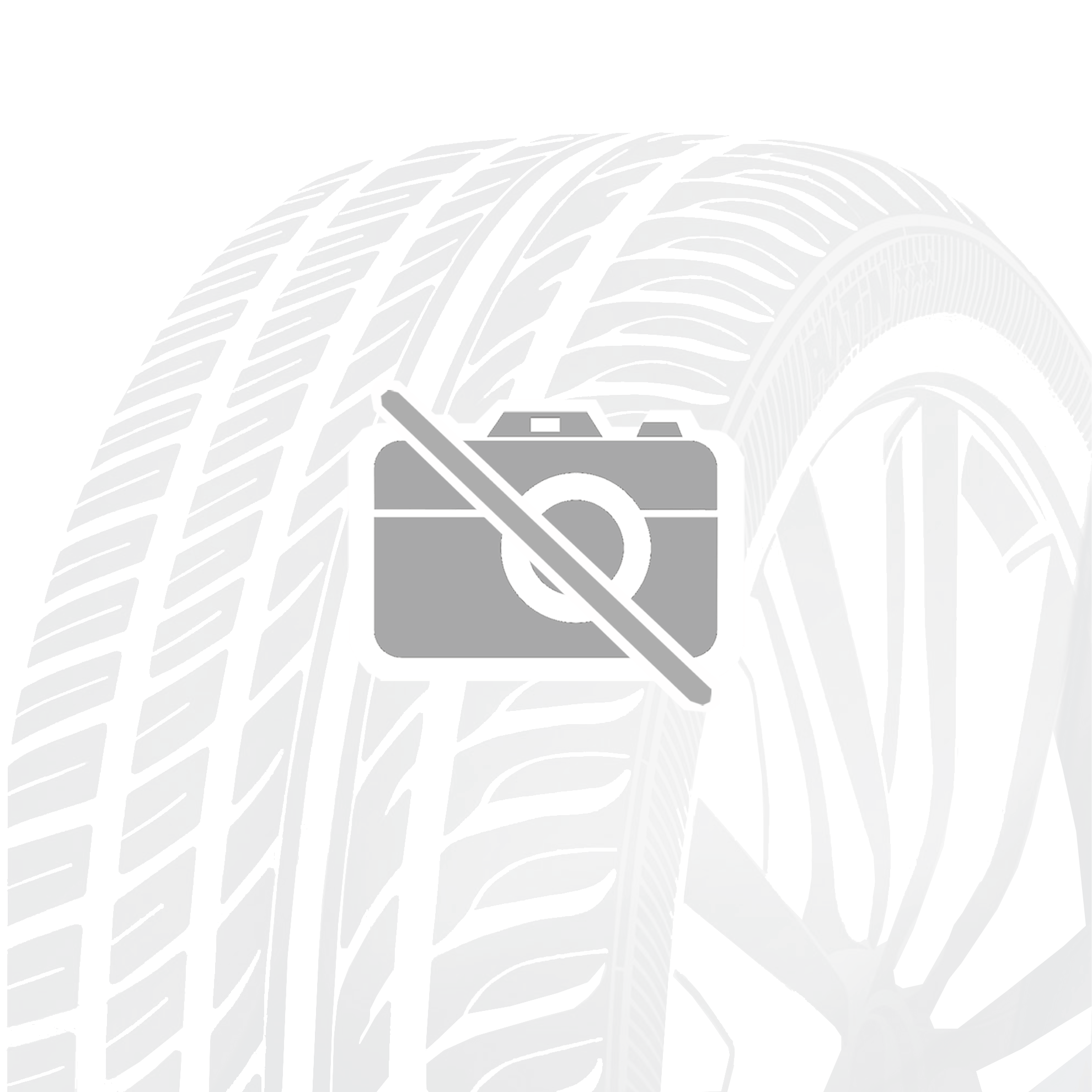 LANDSPIDER SNOWTRAXX H/P 215/55 R17 98 V