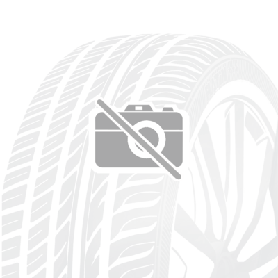 LANDSPIDER SNOWTRAXX H/P 215/55 R17 98 V