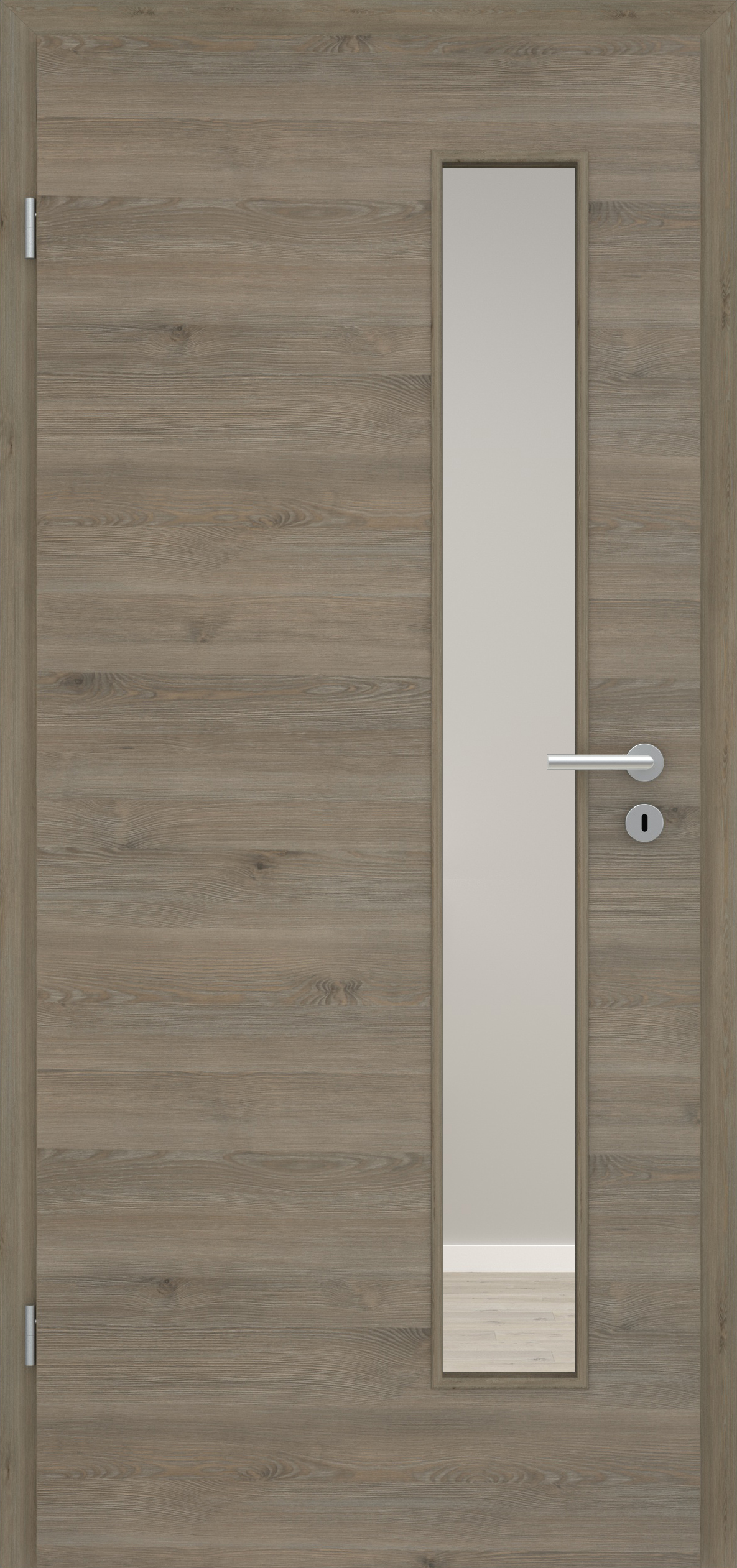 Pinie Silvergrey quer