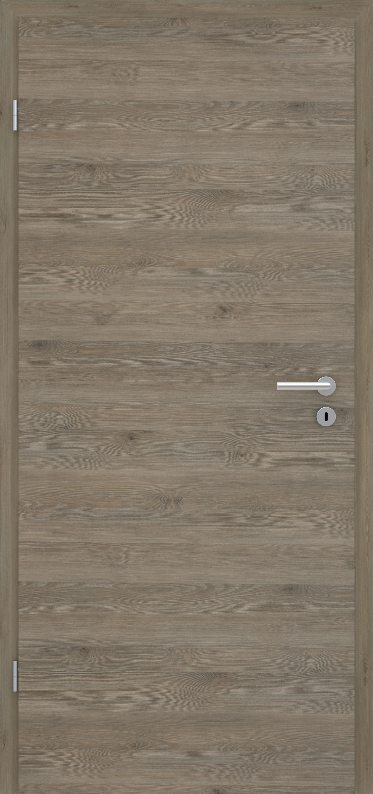 Pinie Silvergrey quer