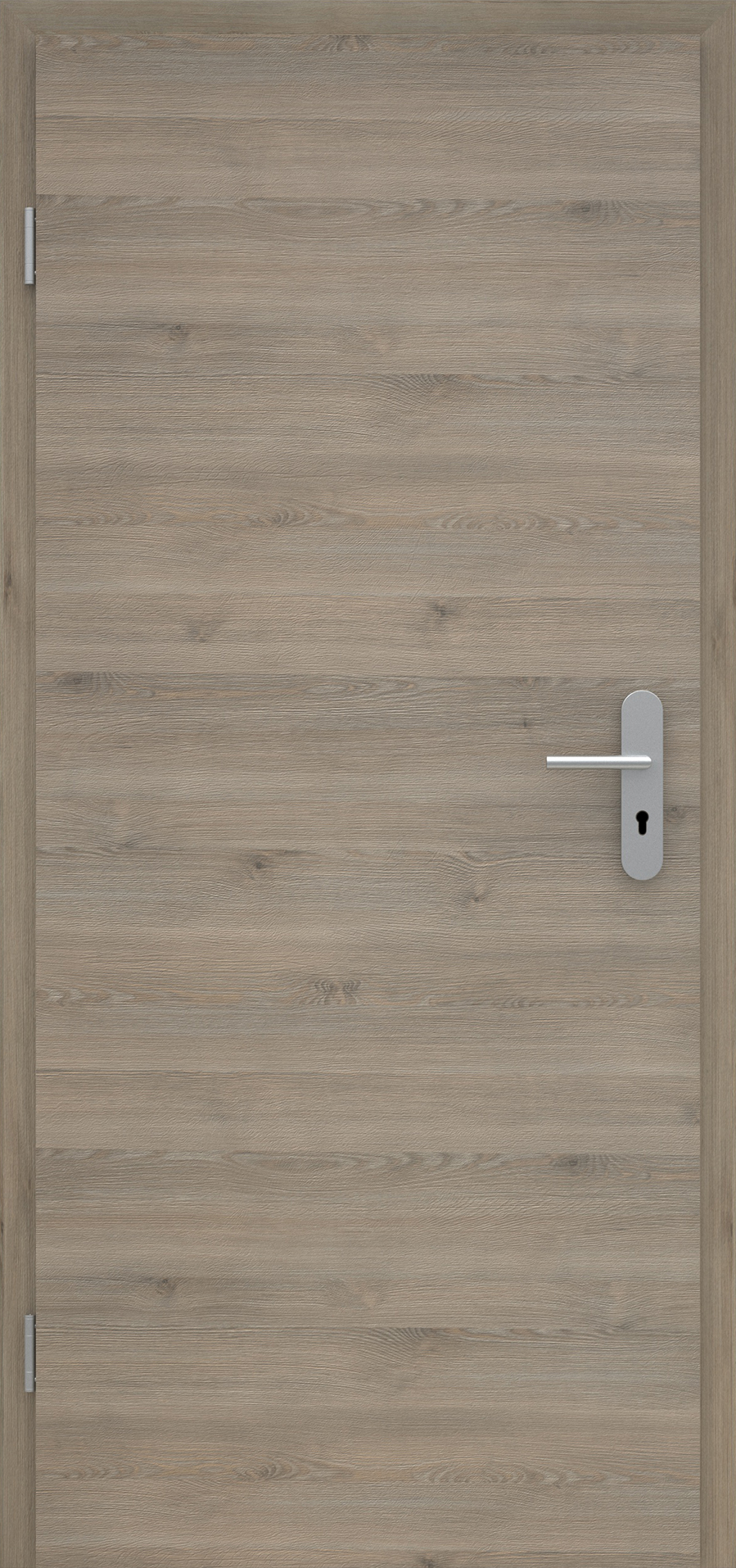 Pinie Silvergrey quer
