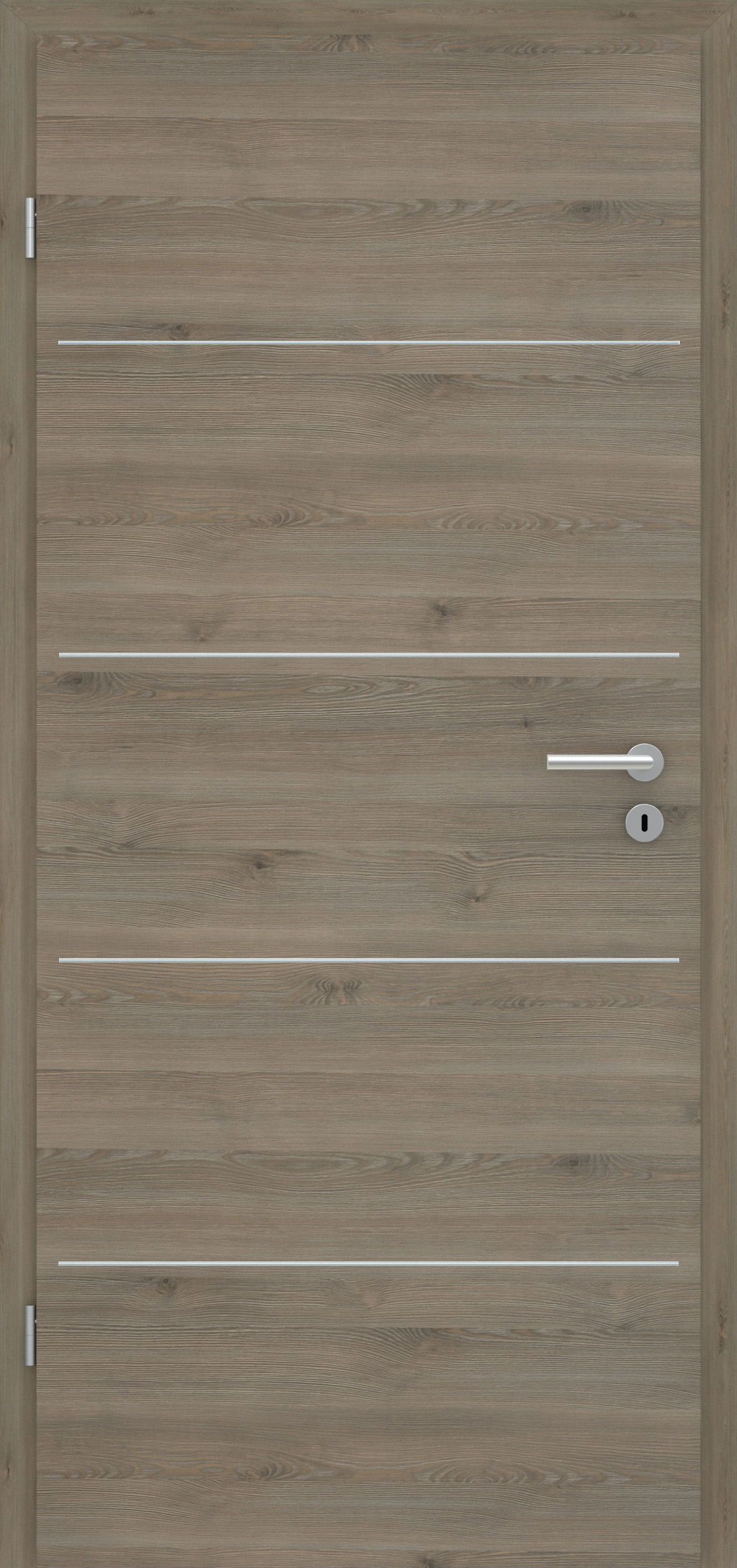 Pinie Silvergrey quer