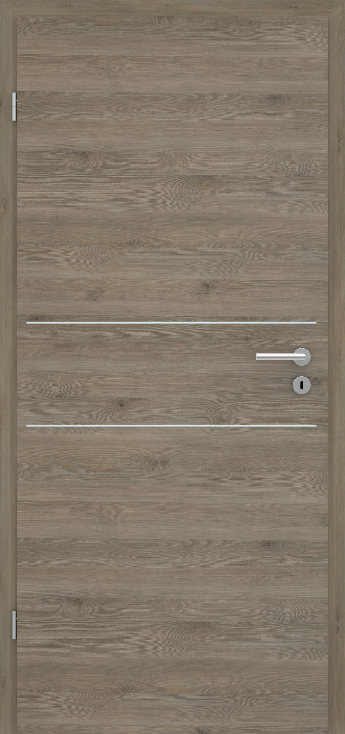 Pinie Silvergrey quer