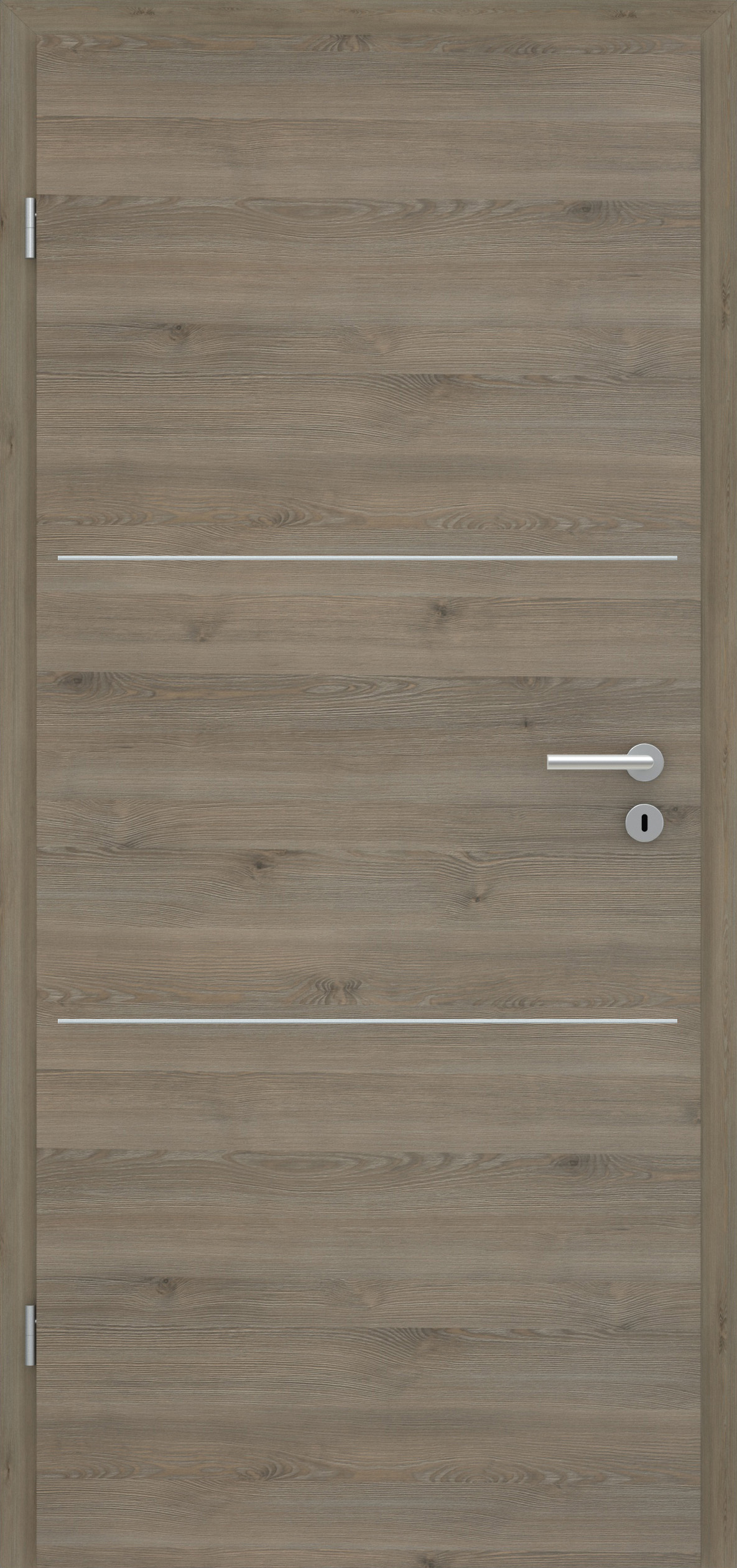 Pinie Silvergrey quer