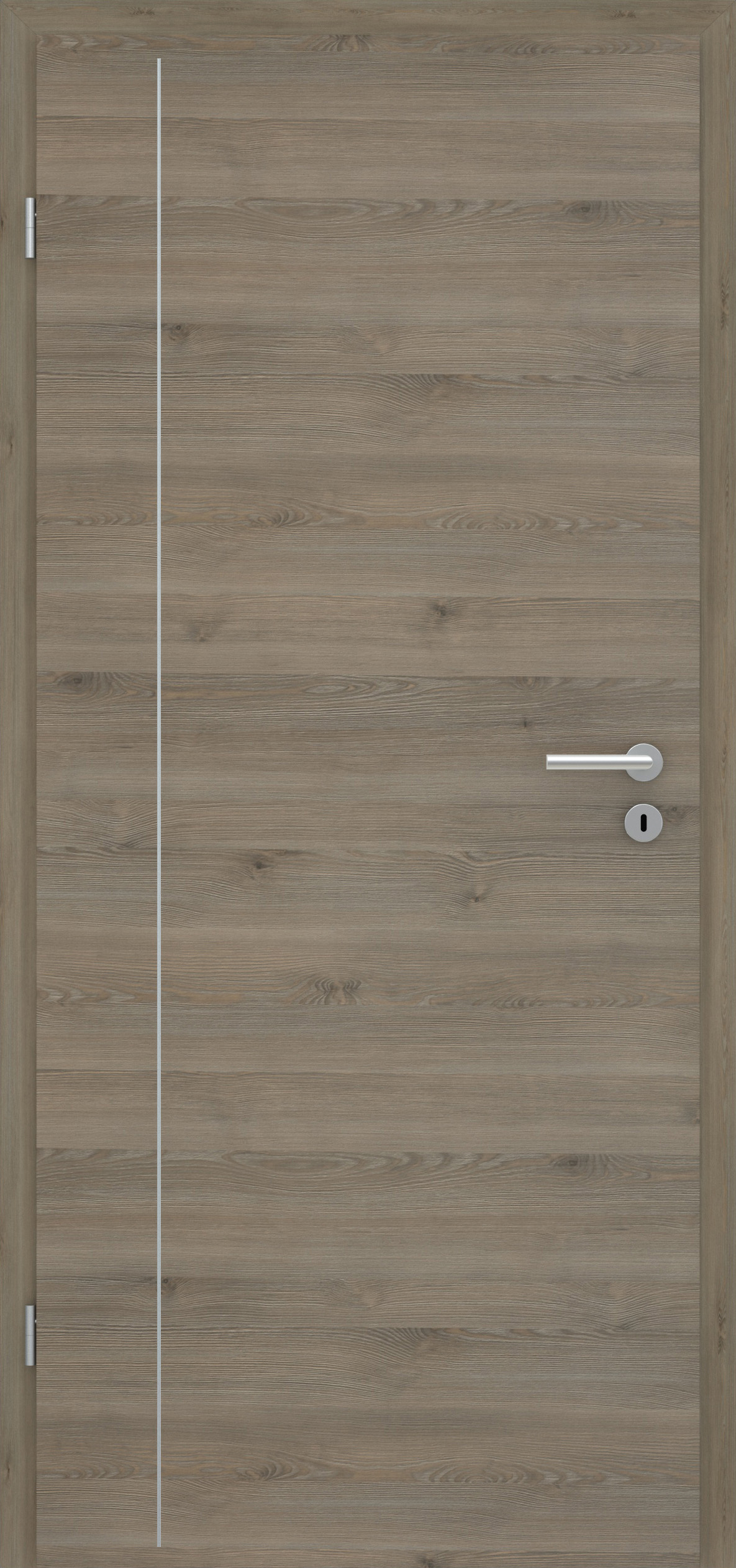 Pinie Silvergrey quer