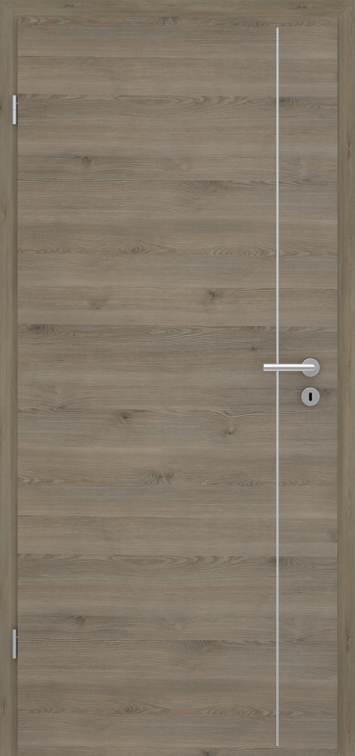 Pinie Silvergrey quer