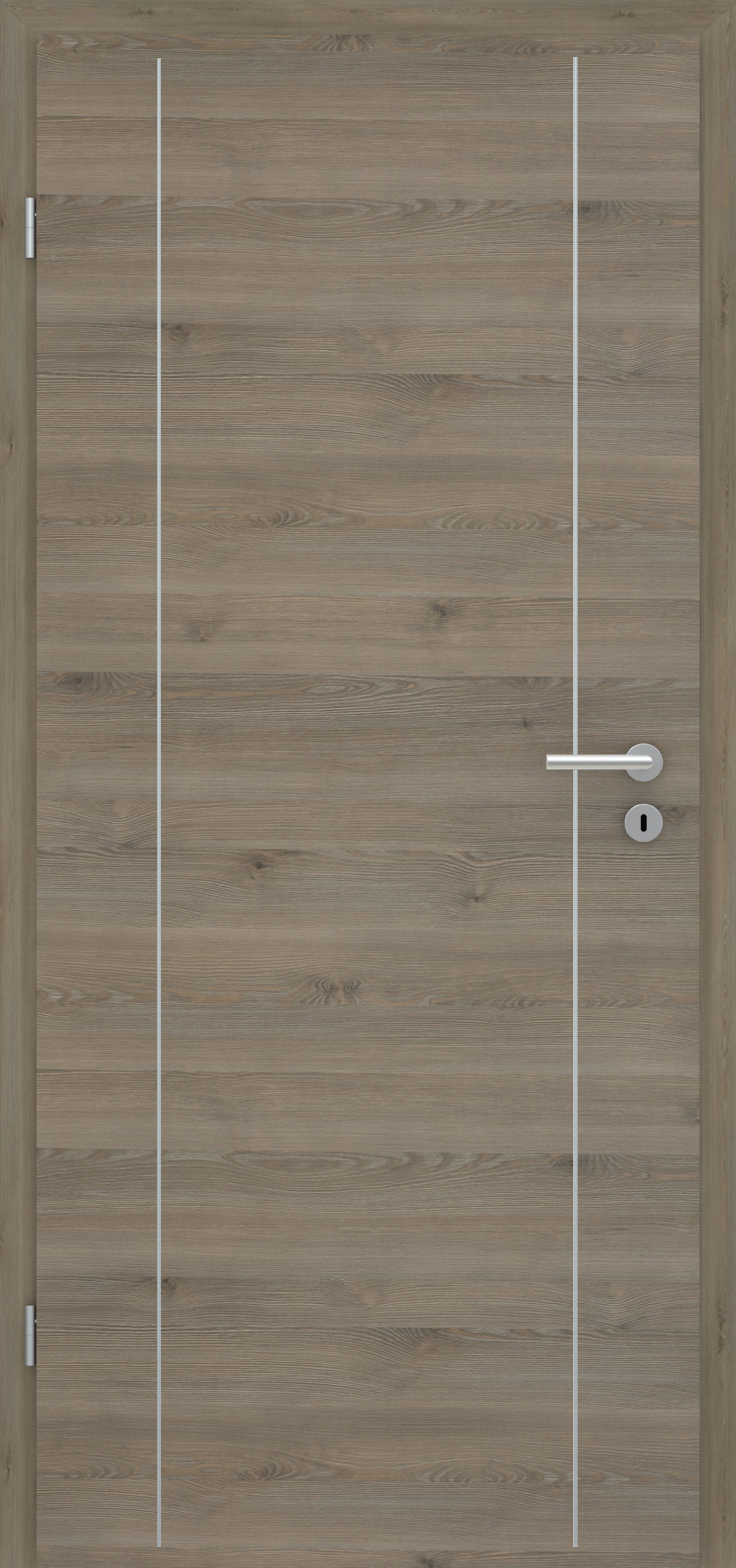 Pinie Silvergrey quer