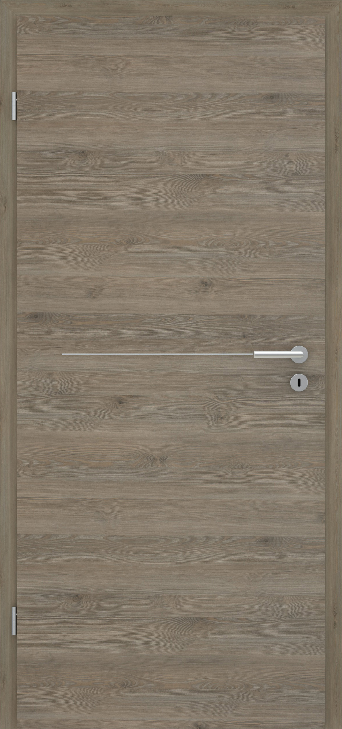 Pinie Silvergrey quer