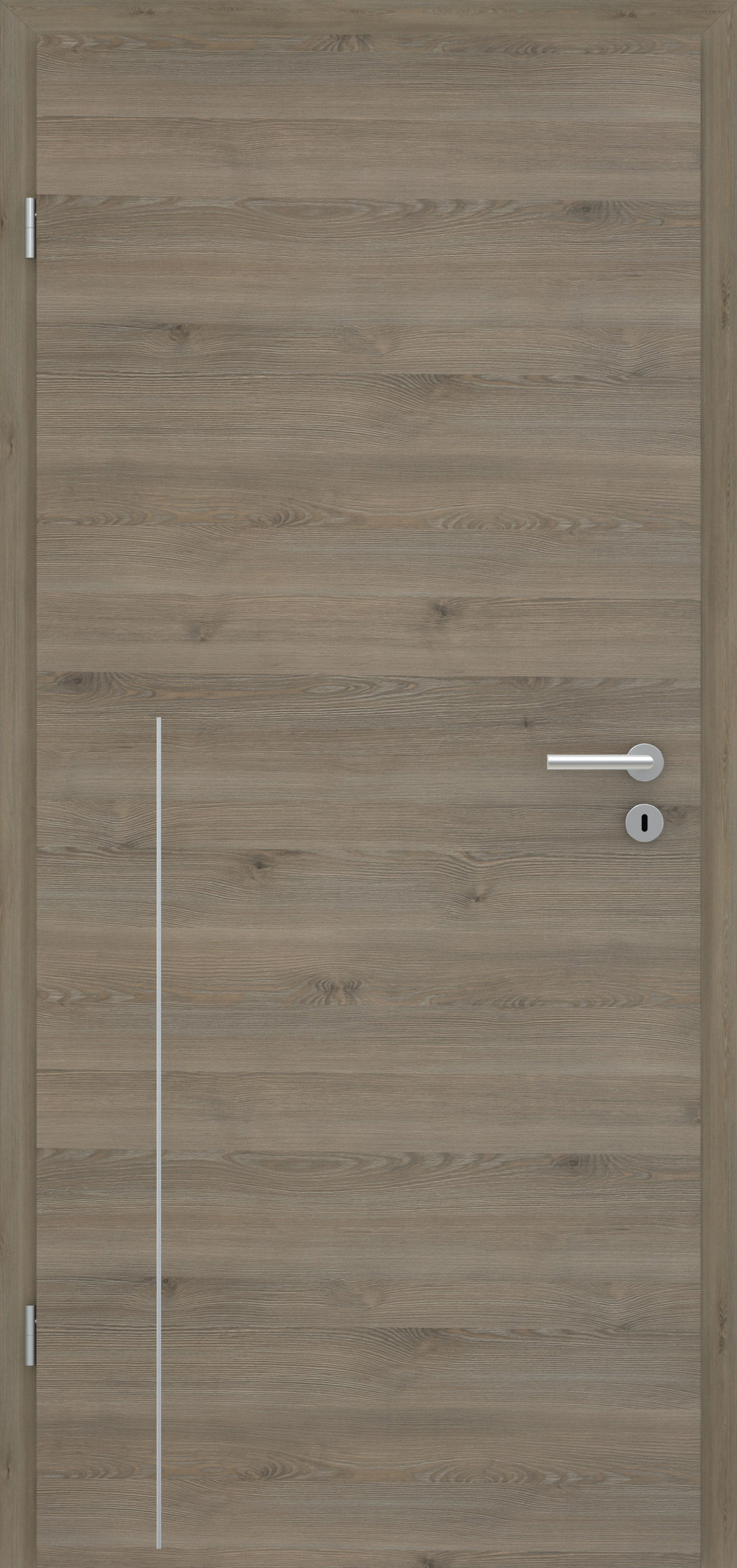 Pinie Silvergrey quer