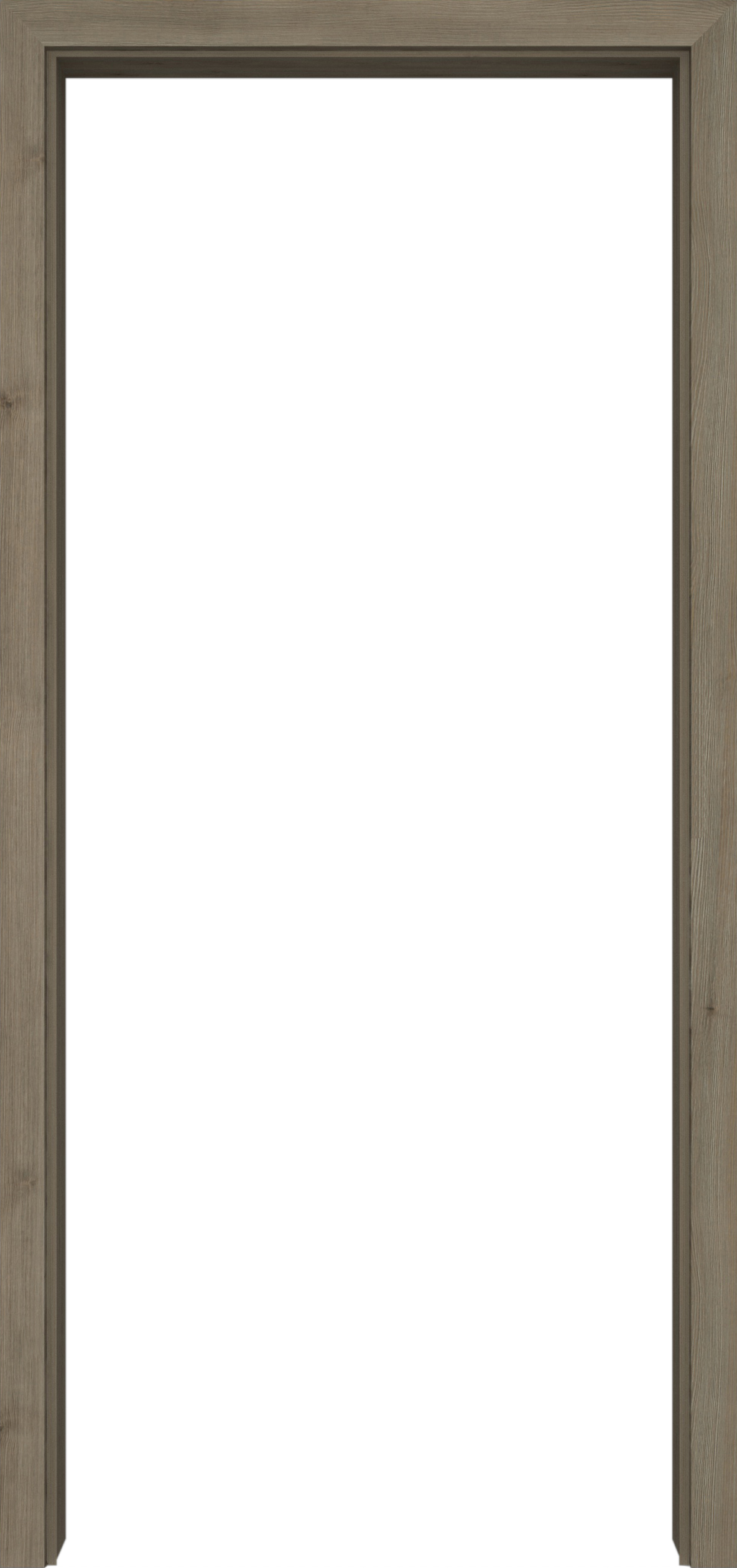 Pinie Silvergrey in der Wand
