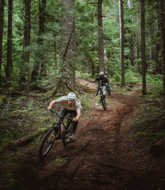  Mountain bike, trail riding, forest, bikers, cyclist