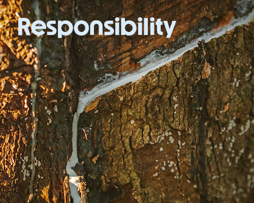 tree bark, brown texture, trunk, camo pattern, natural background