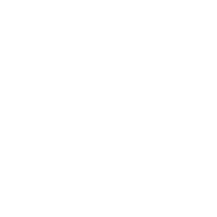 Handschrift, Text