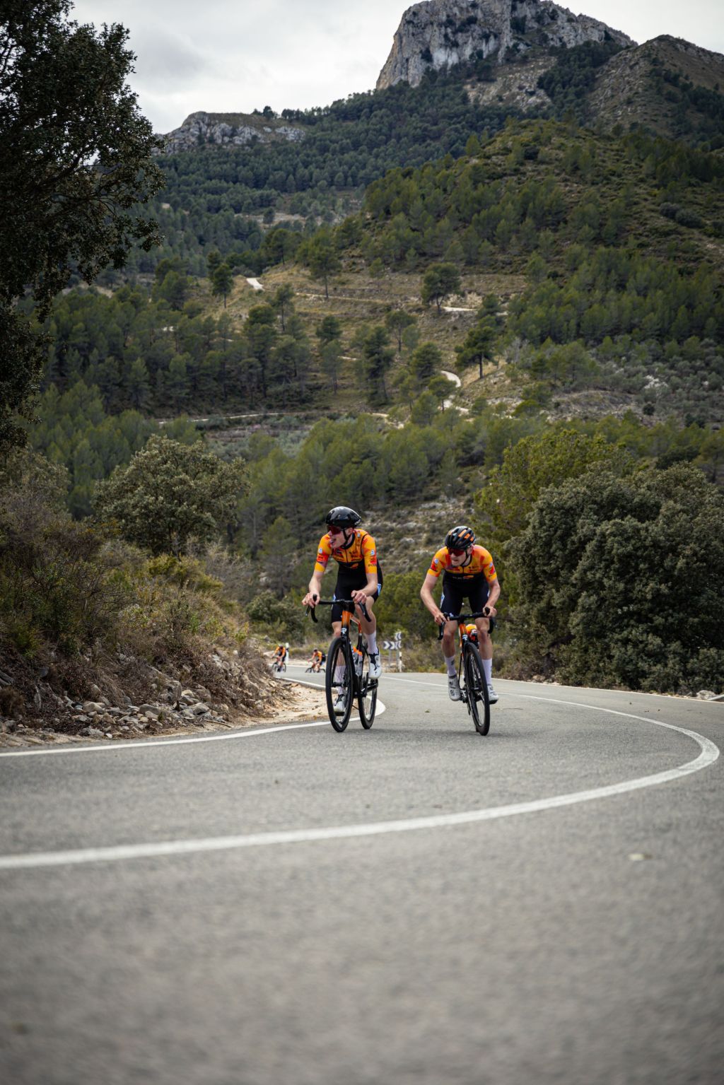 Radsport, Radfahrer, Kletterwald, Kurvige Straße, Gegend mit Bergen, Rennrad, Bergstraße, Fahrradfahrer, Keurige Landschaft, Kurvige Straße