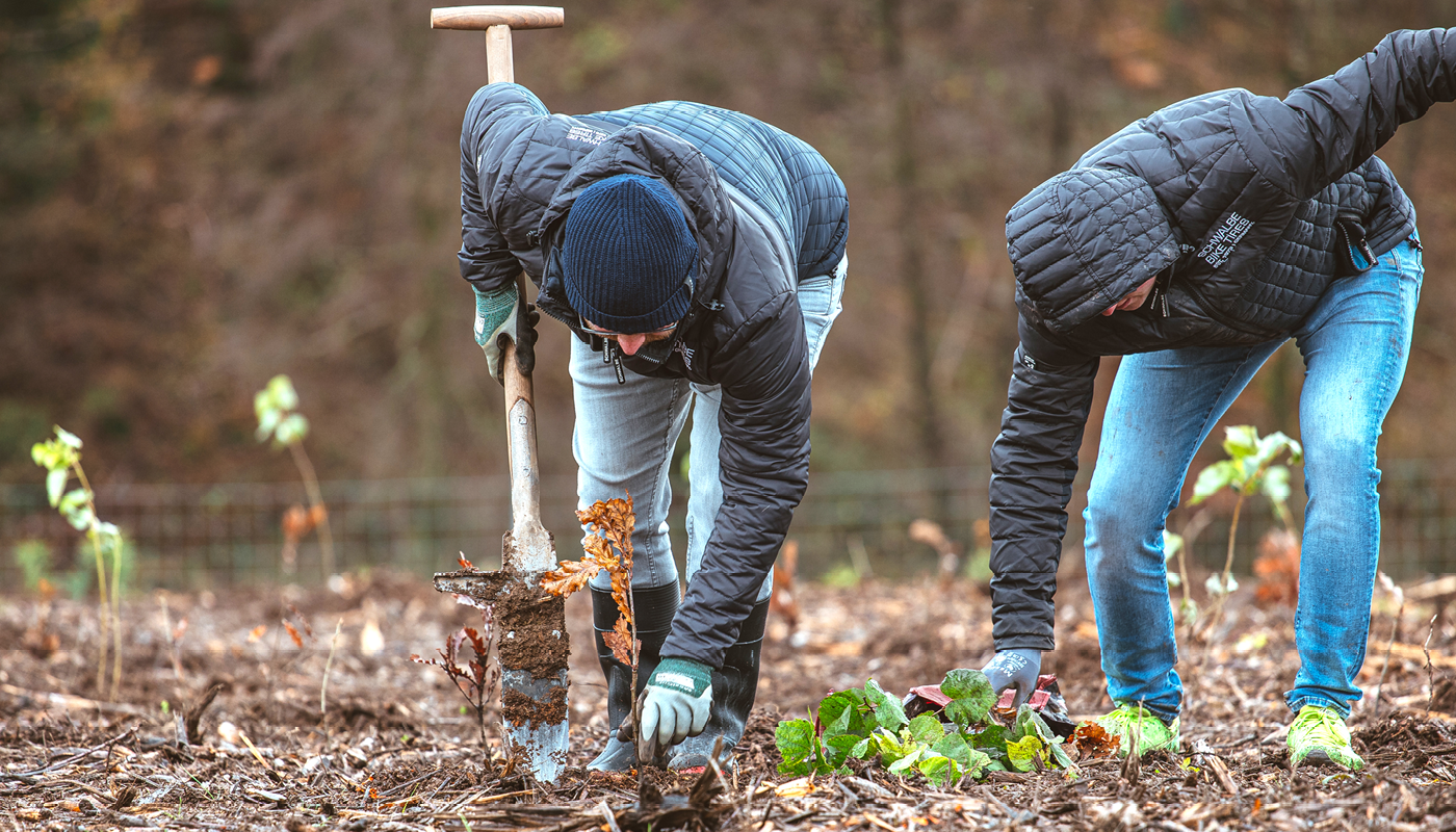 Garten, Natur, Gartenarbeit, Bepflanzung, Gärtner