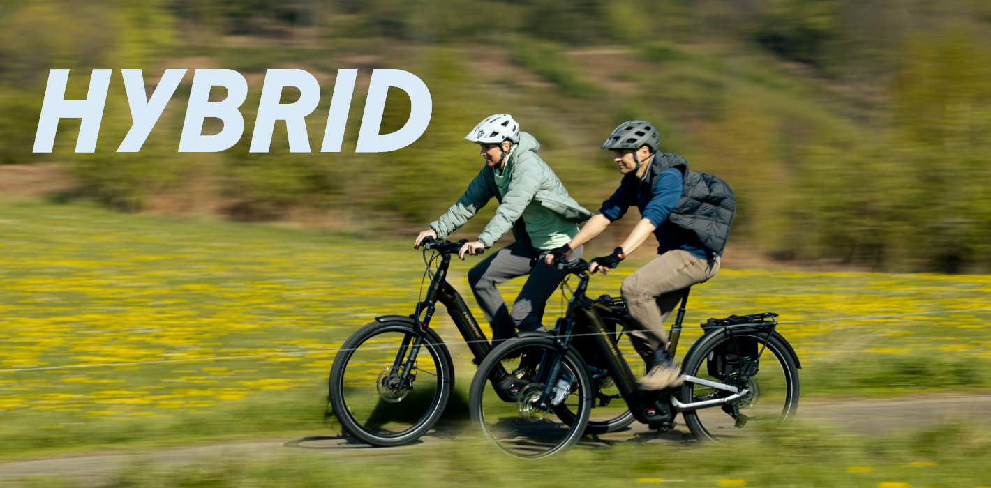 E-Bike, Hybrid, Zwei Personen, Fahrrad, Pedelec