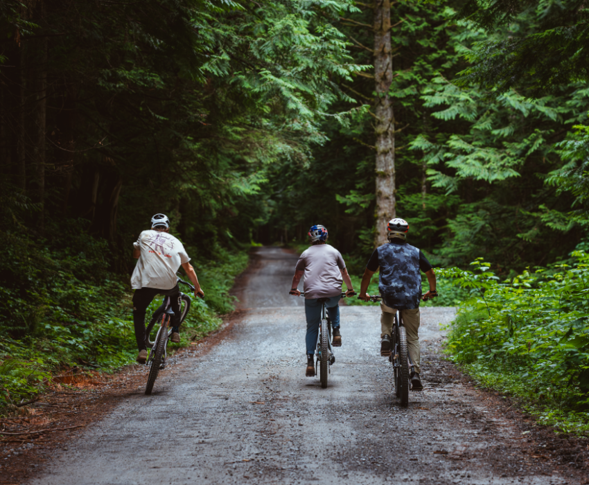 Radfahrer, Mountainbike, Waldweg, Fahrradgruppe, Schotterweg