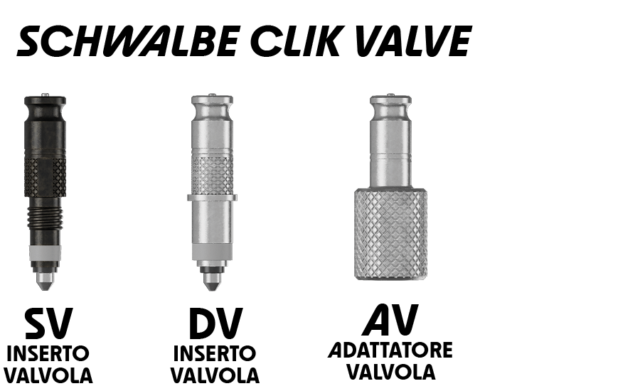 1 Set 2/6/12pcs ottone francese Presta valvola per... – Grandado