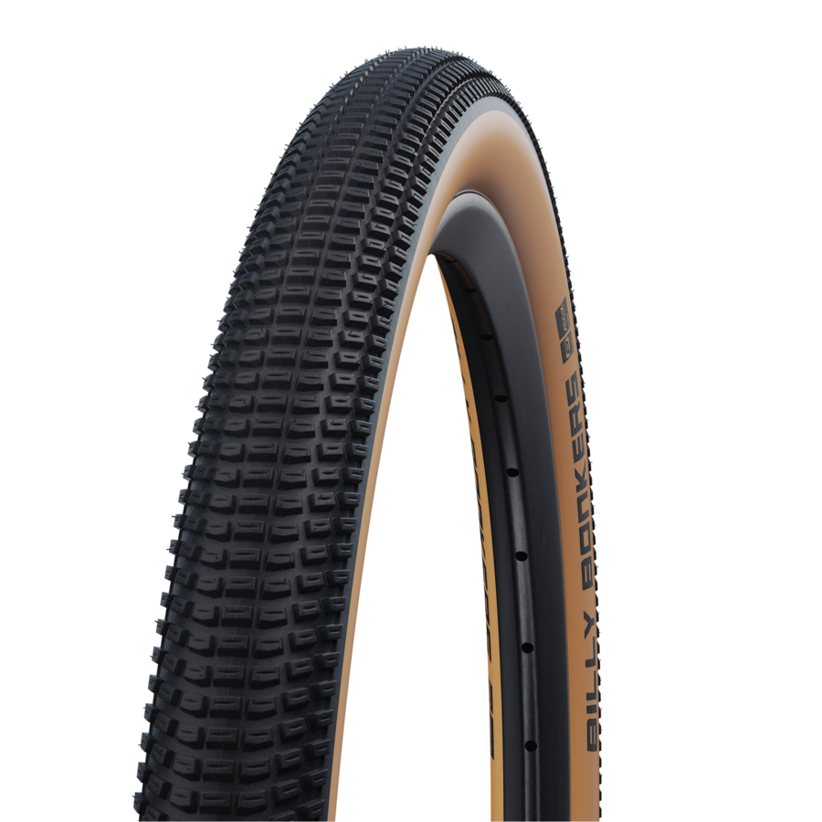 SCHWALBE BILLY BONKERS 20×2.00 406 2本セット hs600_schwalbe_billy-