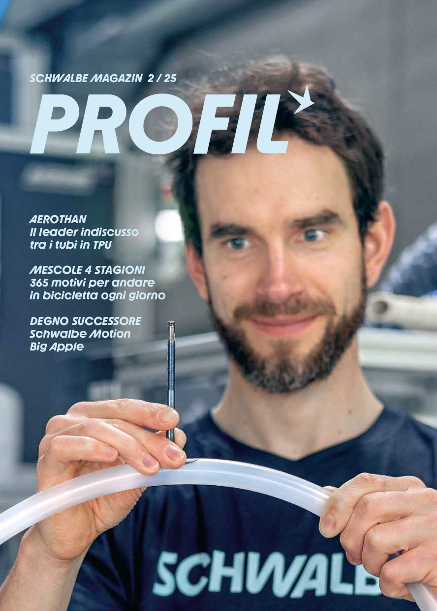 Publikation, Erwachsene, Männlich, Mann, Person