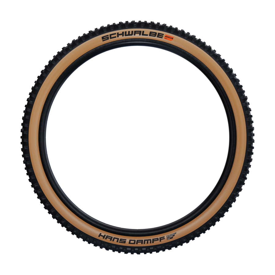 hs491_schwalbe_hans-