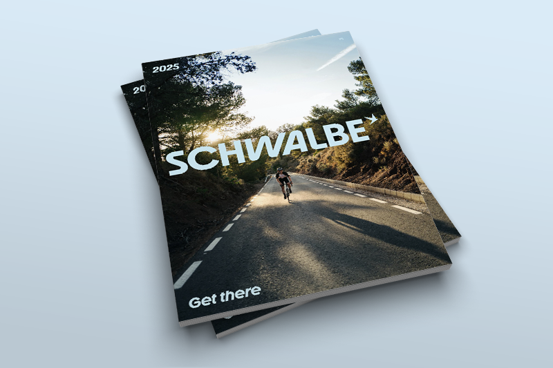 velo, radfahrer, straße, wald, journey