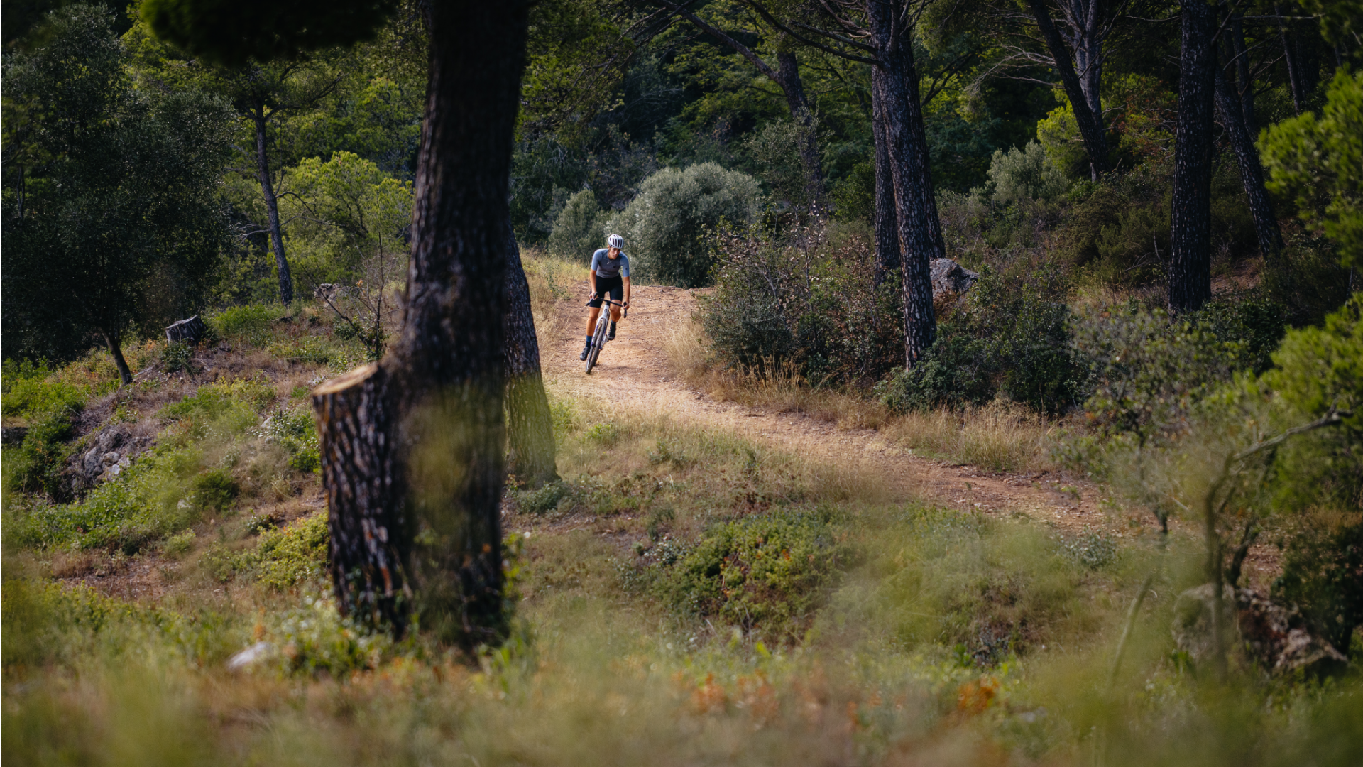 Baum, Person, Fahrrad, Fahrzeug, Helm